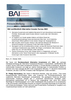 BAI PM Investor Survey 2024
