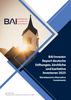 BAI Investor Report Stiftungen Kirchen 2025
