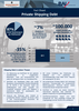 202103 Fact Sheet Private Shipping Debt Berenberg BAI