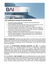 BAI PM Private-Debt-Studie geschuetzt