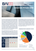 BAI-Factsheet-Corporate-Debt 2023 geschuetzt